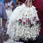 TUBEROSE And Rose रजनीगंधा और गुलाब