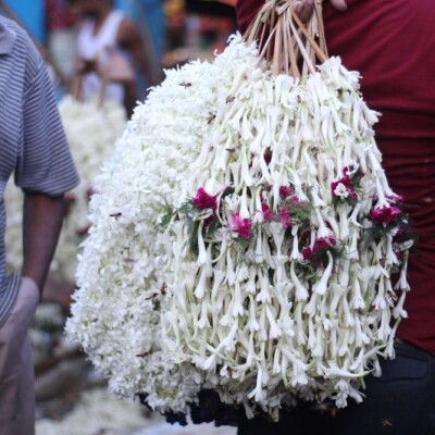 TUBEROSE And Rose रजनीगंधा और गुलाब