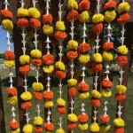 SMALL SIZE MARIGOLD AND TUBEROSE  MALA    छोटा साइज गेंदा और रजनीगंधा  माला