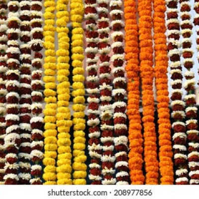 Marigold. Mix MALA   गेंदा माला