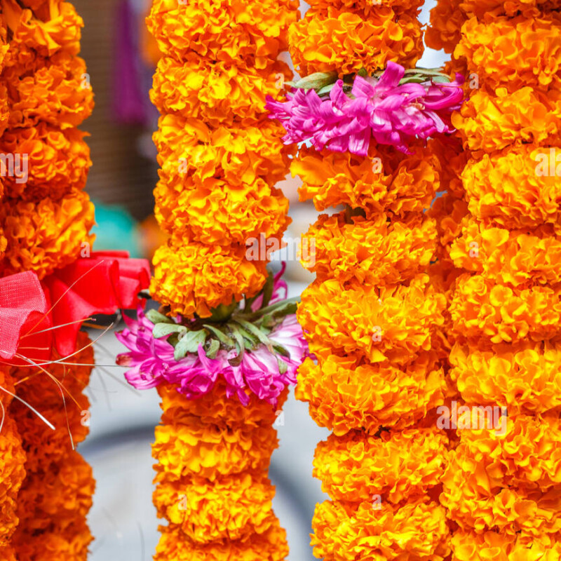 Marigold mala per piece rs 50/-order minimum 4p.